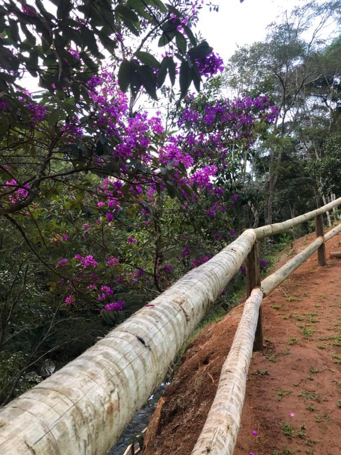 Recanto Da Ruina Pedra Menina Eksteriør bilde